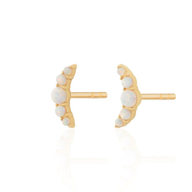 Helix Piercing Jewelry | 14ct Solid Gold | Astrid & Miyu